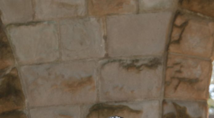 שמלות כלה 2025: הטרנדים המובילים לעונת החתונות הבאה שמלות כלה 2025